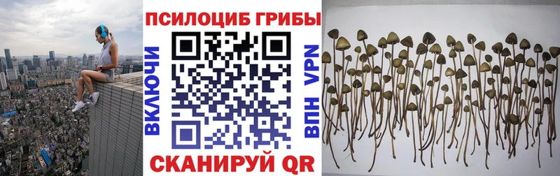 Галлюциногенные грибы GOLDEN TEACHER  купить   Звенигород 